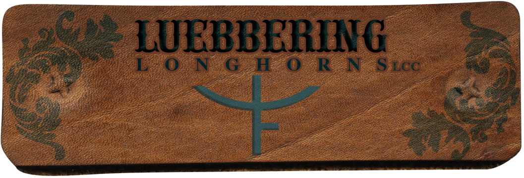 Luebbering Longhorns Logo